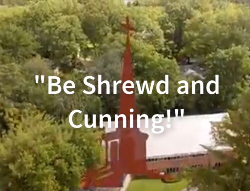 Be Shrewd and Cunning!